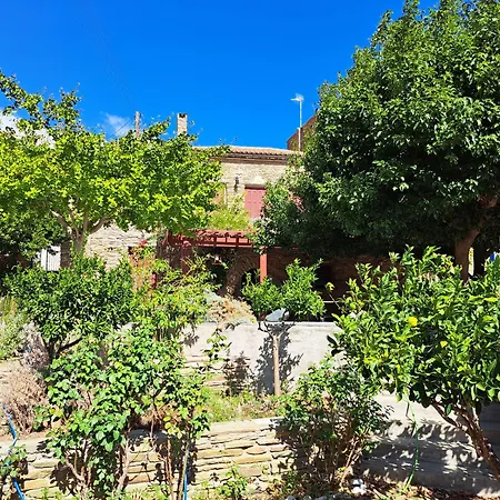 Hippocrates Garden