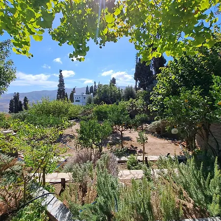 Hippocrates Garden * Lamira